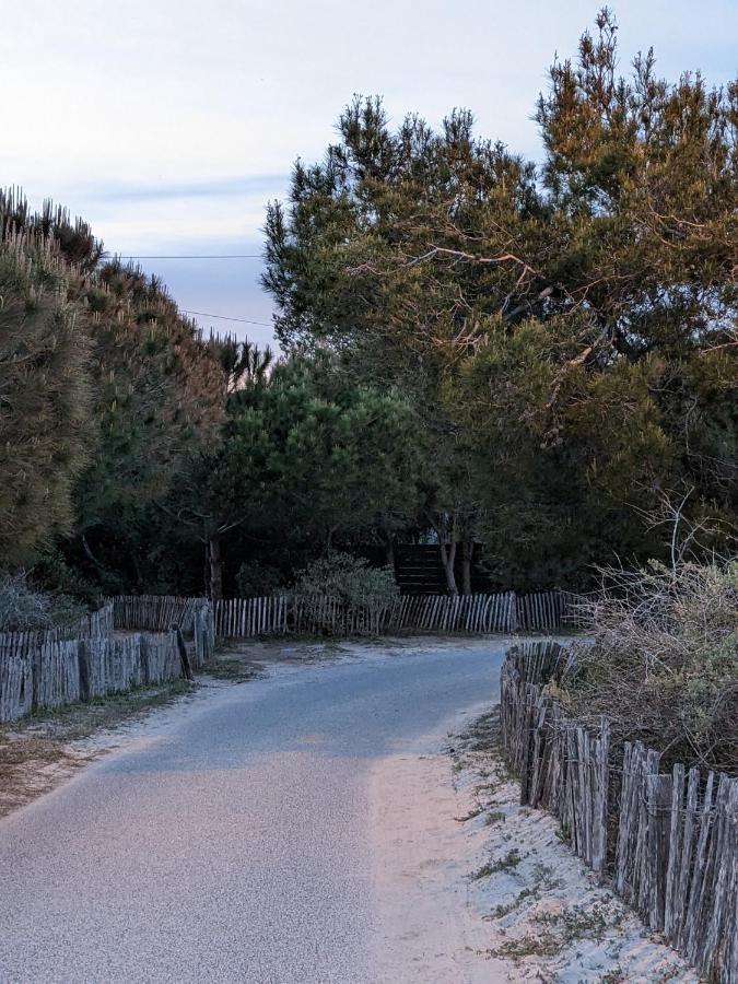 L'Instant Plage - Vue Mer - Bord De Plage - La Capte - Cote D'Azur Hyeres Ngoại thất bức ảnh