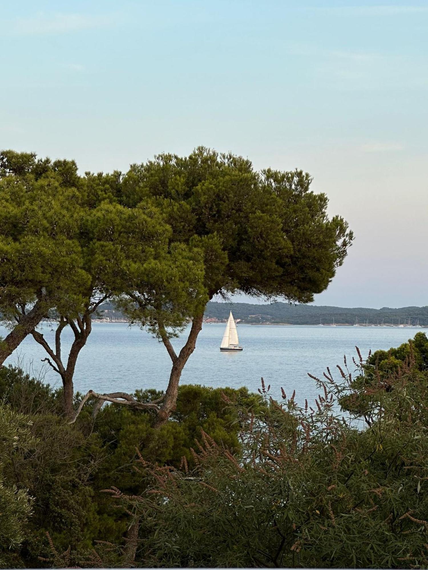 L'Instant Plage - Vue Mer - Bord De Plage - La Capte - Cote D'Azur Hyeres Ngoại thất bức ảnh