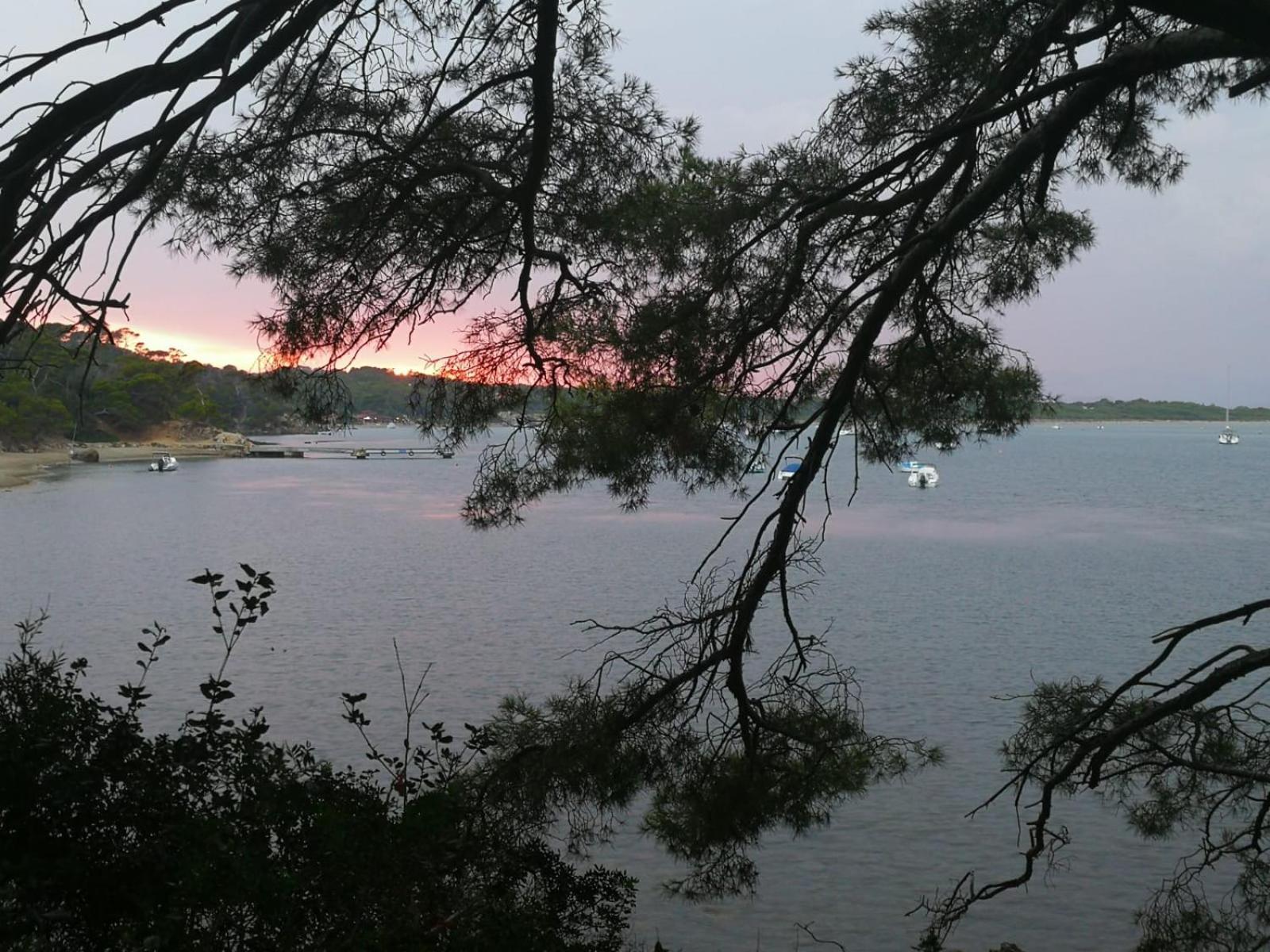 L'Instant Plage - Vue Mer - Bord De Plage - La Capte - Cote D'Azur Hyeres Ngoại thất bức ảnh